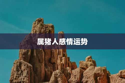 属猪人感情运势