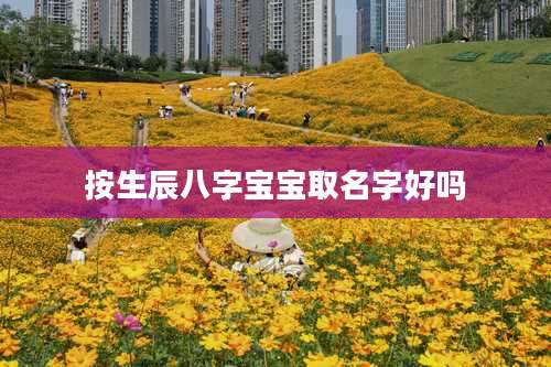 按生辰八字宝宝取名字好吗