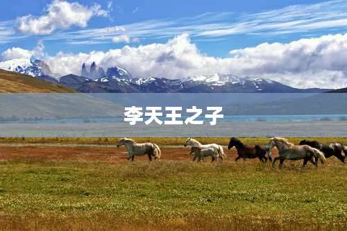 李天王之子