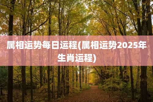 属相运势每日运程(属相运势2025年生肖运程)