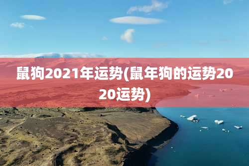 鼠狗2021年运势(鼠年狗的运势2020运势)