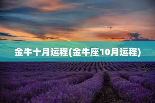 金牛十月运程(金牛座10月运程)