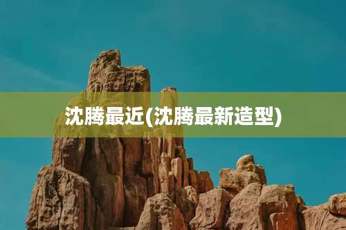 沈腾最近(沈腾最新造型)