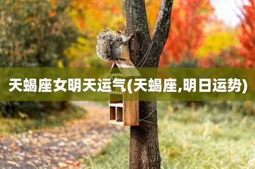 天蝎座女明天运气(天蝎座,明日运势)