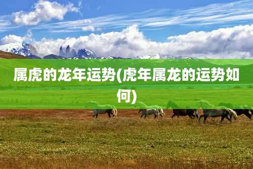 属虎的龙年运势(虎年属龙的运势如何)