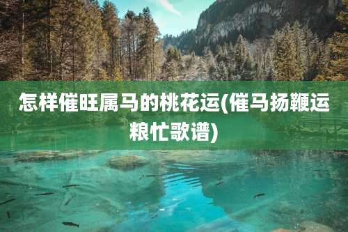 怎样催旺属马的桃花运(催马扬鞭运粮忙歌谱)