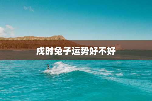 戌时兔子运势好不好