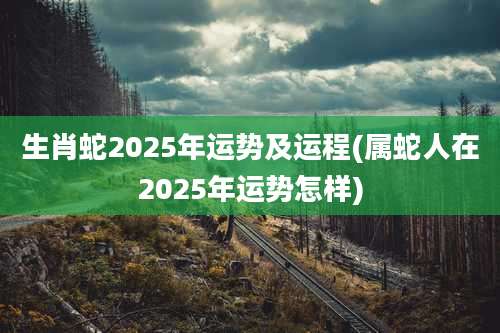 生肖蛇2025年运势及运程(属蛇人在2025年运势怎样)