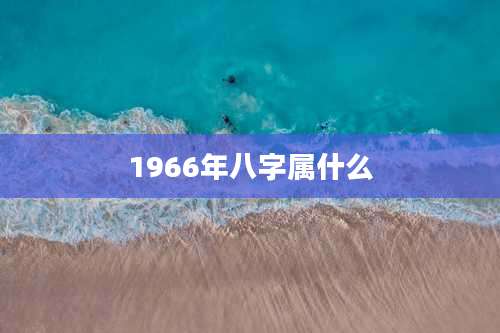 1966年八字属什么