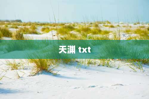 天渊 txt