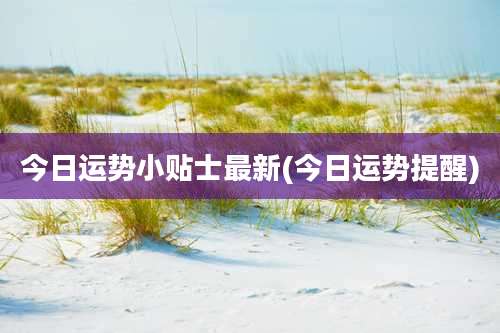 今日运势小贴士最新(今日运势提醒)