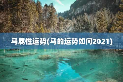 马属性运势(马的运势如何2021)
