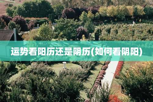 运势看阳历还是阴历(如何看阴阳)