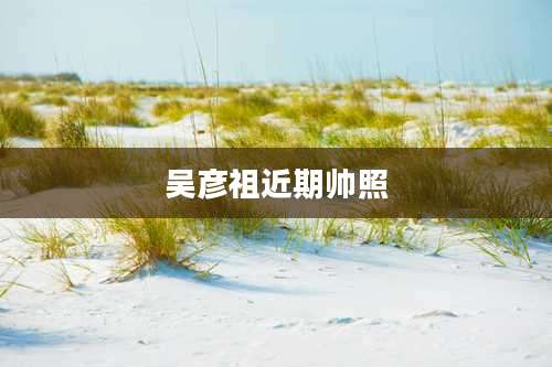 吴彦祖近期帅照