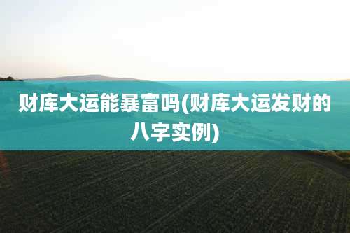 财库大运能暴富吗(财库大运发财的八字实例)