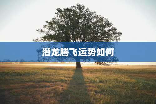 潜龙腾飞运势如何