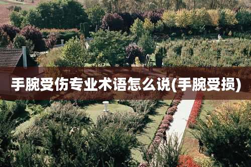 手腕受伤专业术语怎么说(手腕受损)