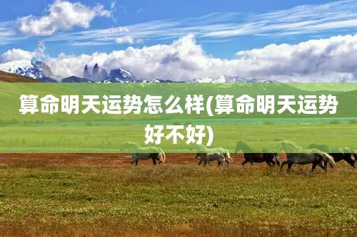 算命明天运势怎么样(算命明天运势好不好)