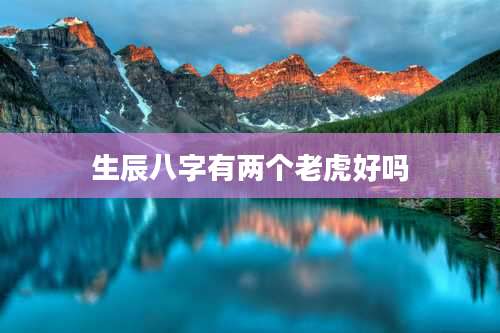 生辰八字有两个老虎好吗
