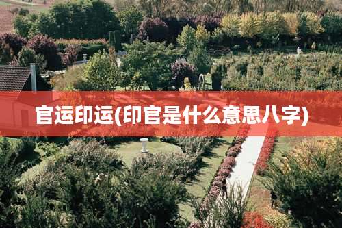 官运印运(印官是什么意思八字)