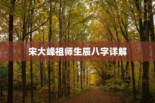 宋大峰祖师生辰八字详解