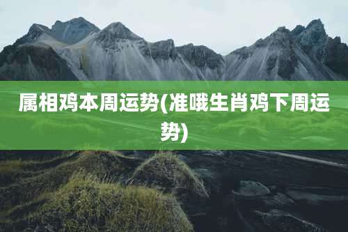 属相鸡本周运势(准哦生肖鸡下周运势)