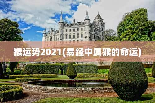 猴运势2021(易经中属猴的命运)