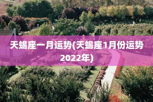 天蝎座一月运势(天蝎座1月份运势2022年)