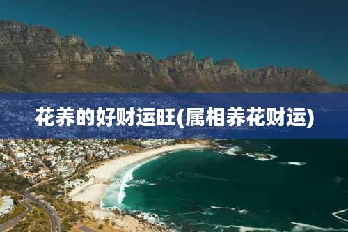 花养的好财运旺(属相养花财运)