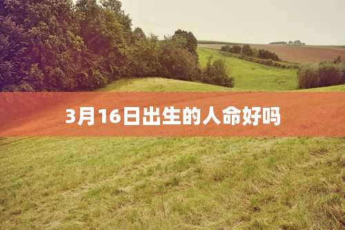 3月16日出生的人命好吗