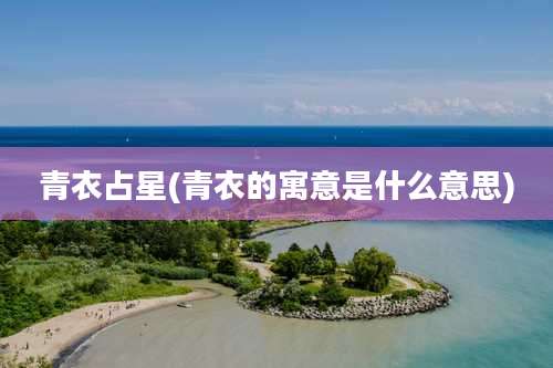 青衣占星(青衣的寓意是什么意思)