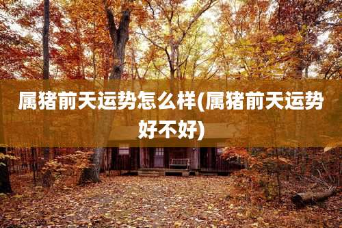 属猪前天运势怎么样(属猪前天运势好不好)