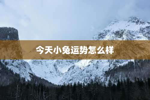 今天小兔运势怎么样