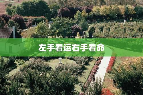 左手看运右手看命