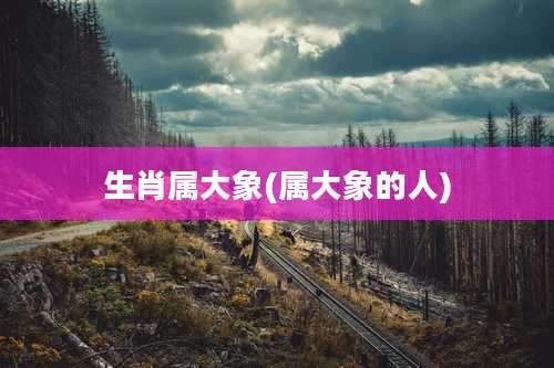 生肖属大象(属大象的人)