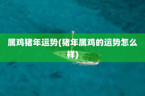 属鸡猪年运势(猪年属鸡的运势怎么样)