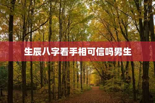 生辰八字看手相可信吗男生