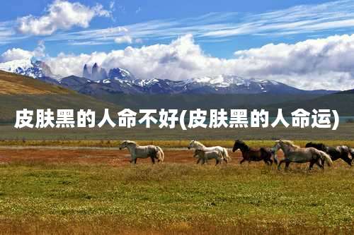 皮肤黑的人命不好(皮肤黑的人命运)
