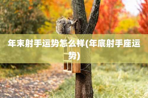 年末射手运势怎么样(年底射手座运势)