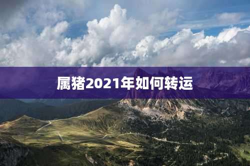 属猪2021年如何转运
