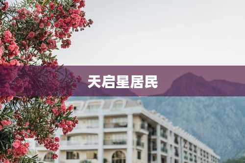 天启星居民