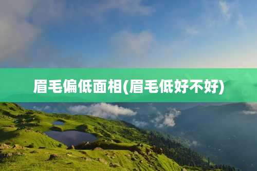 眉毛偏低面相(眉毛低好不好)
