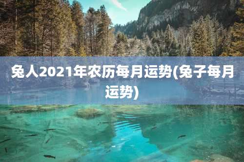 兔人2021年农历每月运势(兔子每月运势)