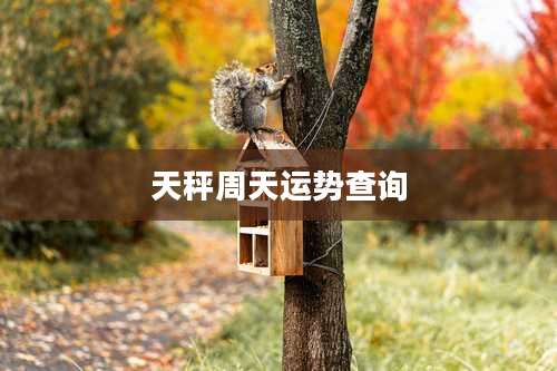 天秤周天运势查询