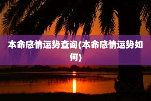 本命感情运势查询(本命感情运势如何)
