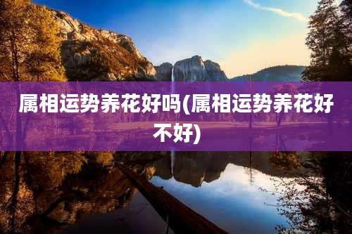 属相运势养花好吗(属相运势养花好不好)