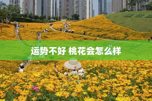 运势不好 桃花会怎么样