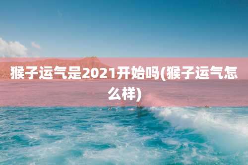 猴子运气是2021开始吗(猴子运气怎么样)