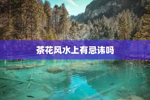 茶花风水上有忌讳吗