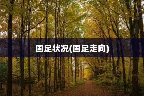 国足状况(国足走向)